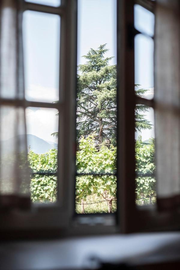特尔拉诺Weingut Kornell - Schafferhaus Cosmas Und Zeder公寓 外观 照片
